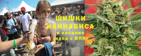 дмт Новозыбков