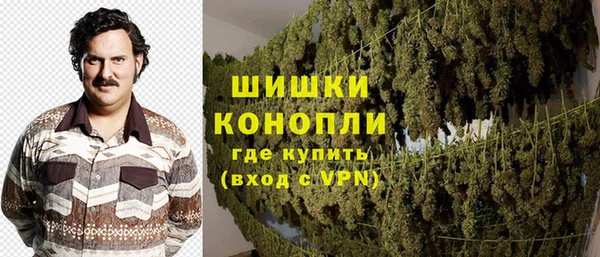 дмт Новозыбков