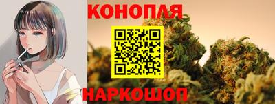 круглые Кингисепп