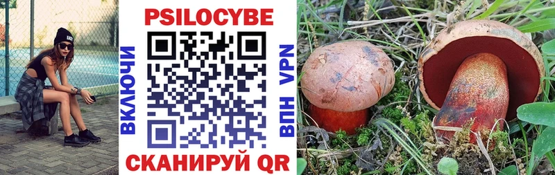 где можно купить наркотик  Новотроицк  Галлюциногенные грибы Magic Shrooms 