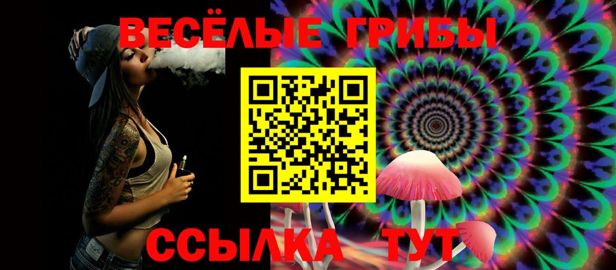 Псилоцибиновые грибы Magic Shrooms  Галлюциногенные грибы GOLDEN TEACHER  Вход с VPN  Новотроицк 