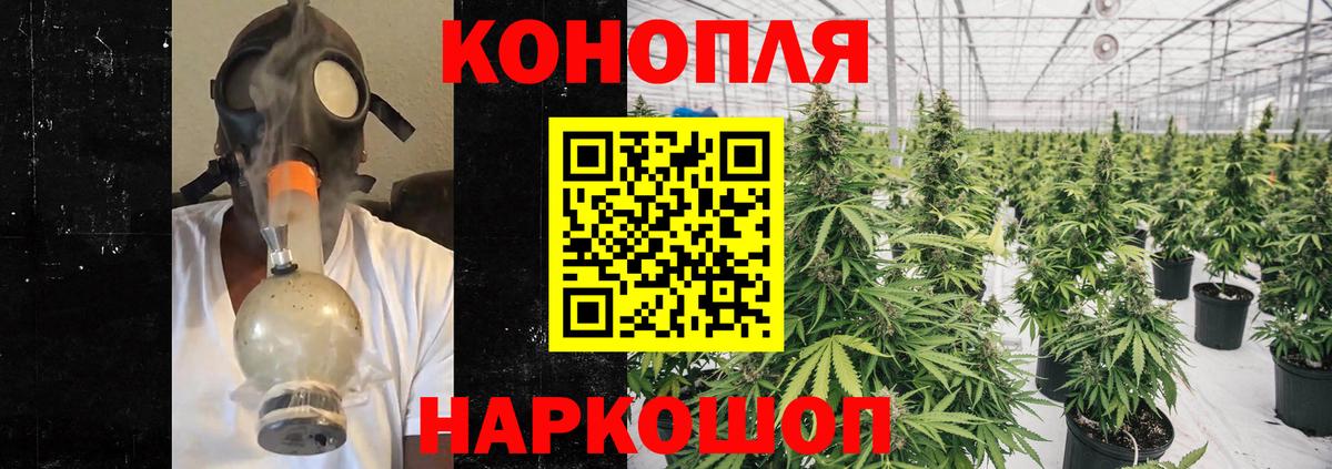 Новотроицк  Бошки Шишки план  Каннабис тримм  Вход с VPN  Каннабис OG Kush 